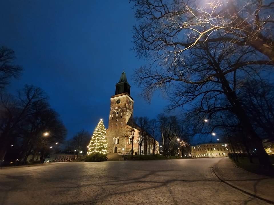 Tuomiokirkon edessä on suuri joulukuusi, taivas on tummansininen