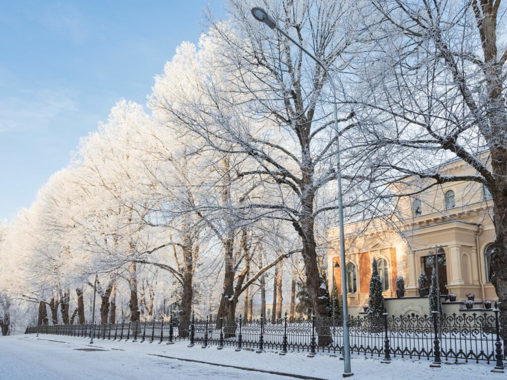 Kuva arkkipiispantalosta talevlla